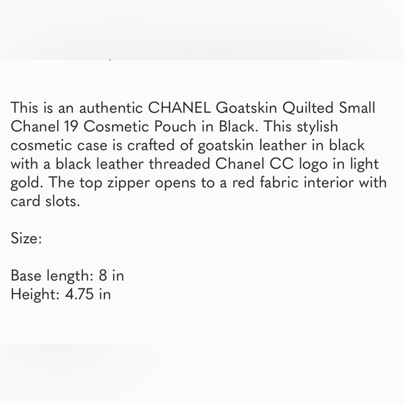 Chanel 19 Pouch - Authentic BNIB - Picture 2 of 15
